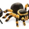 עכביש טרנטולה עם שלט מבית בוקי צרפת